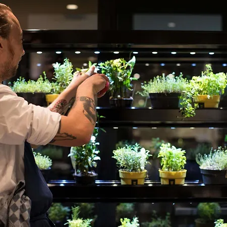 Ink - Mgallery Collection 4*