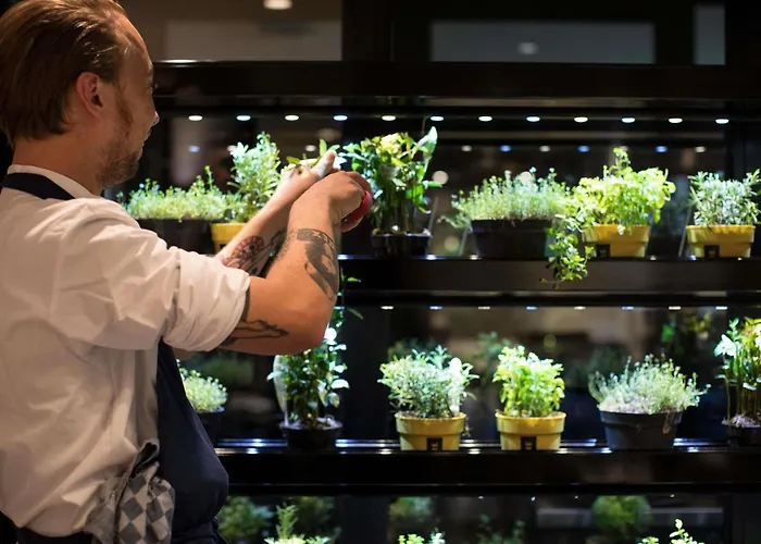 Ink - Mgallery Collection 4*