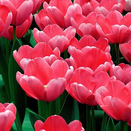 Ink - Mgallery Collection Hotel 4*